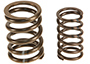 Valve springs