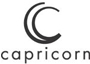 Piezas del motor Capricorn