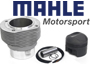 Mahle Motorsport
