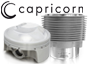 Pièces de moteur Performance (Capricorn)