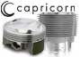 Vervangende motoronderdelen (Capricorn)