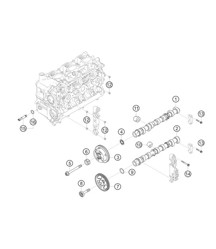 Distribution 982 Cayman GT4 Clubsport 2019-2020