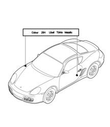 Paint touch-up applicator / Paints 987C.1 Cayman 2006-08