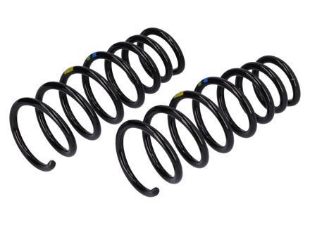 Muelles helicoidales delanteros (PAR). Porsche 991.1 C2/C2S (2012-16) - 99134353110504