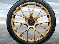 20'/21' 991.2 GT3 RS Magnesium, in Aurum (satin-gloss) Alloy Wheels Original Porsche - 99104460316