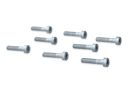 Bulloni volano SET DI 8. Porsche 986 / 987 / 987C / 996 / 997 - 99907309202 - 99907309209, 99907309201, 99907309202