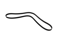 Cinturón de aire acondicionado. Porsche 964 Turbo (965) - 6PK1555, 99919236550, 99919235650