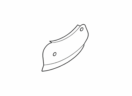 Afdekplaat remschijf (ONDER) ACHTER. Porsche Carrera GT - 98035280101, 98035280201