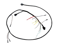 Cablaggio luce anteriore. Porsche 911 1971-73 - 91161200301 - PS9268, 1699900910