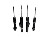 Bilstein Vervangende VOOR- EN ACHTER schokdemper. Porsche 996 C4 - 22-113344, 22113344, 24-147644, 24147644, 99634304317, 99634304302, 99634304322, 99634304313, 99634304323, 99634304326, 99634304329, 99633305185, 99634304322, 99634304344, 99634304326, 99634304347, 99634304329, 99634304350, 99633305162 - VNEB334