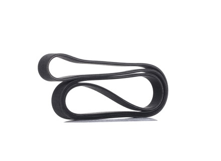 Drive belt. Porsche 955/957/958 Cayenne V6 - 95510293300, 7DPK2074