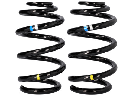 COPPIA molle elicoidali POSTERIORI. Porsche 987.1 Boxster 2005-08