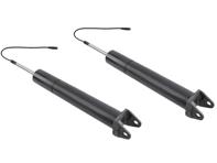 Ammortizzatori (COPPIA), Posteriori con PASM. Porsche 997.1 / 997.2 Carrera 4 TARGA / Carrera 4S TARGA 2005-12 - 99733304911, 99733304910, 99733304903, 99733304904