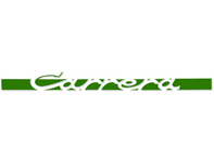 Decalcomania laterale 'CARRERA', in verde. Porsche 911 Carrera 2.7 - 91155903400, 91155903401, 91155903402, 91155903403, 91155903404 Decalcomania laterale 'CARRERA', in verde. Porsche 911 Carrera 2.7 - 91155903400, 91155903401, 91155903402, 91155903403, 91155903404