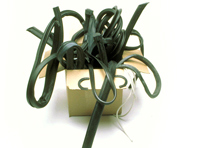 修复橡胶密封件套件。保时捷 911 Targa 标准车身 - 91153163100, 91153163200, 90150339422, 99991108440, 90150549720, 91163197001, 91163197101, 91163197000, 91163197100, 90150509120, 90253109340, 91151212900, 91154290500, 91154122504, 90151190106, 91154213540, 91154213640