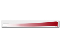 Pellicola decorativa posteriore in Indian Red per Porsche 996 GT3 RS - 99655933592, 99655933692, 99655933690 Pellicola decorativa posteriore in Indian Red per Porsche 996 GT3 RS - 99655933592, 99655933692, 99655933690
