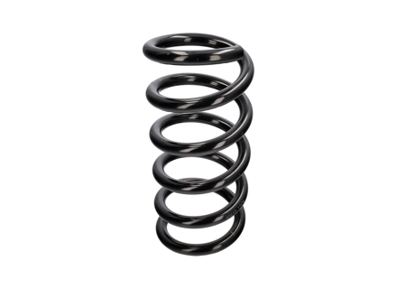 Coil spring REAR. Porsche 970 Panamera - 97033353116504