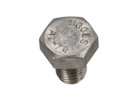 Tornillo de cabeza hexagonal M8 x 1 x 10