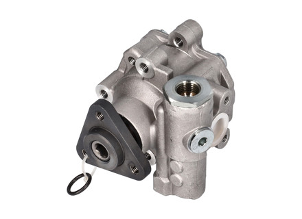 Power Steering Pump. Porsche 955 Cayenne S / Turbo - 94831405004, 94831405003