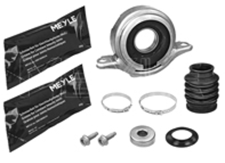 Reparatur des Stützlagers der Kardanwelle. Porsche Cayenne 958 - 95542102095, 4141510100/S, 95842101100, 95842101101, 95842101102, 95842101103, 95842101110, 95842101111, 95842101112, 95842101113, 95842101120, 95842101121, 95842101122, 95842101123, 95842101123, 95842101130