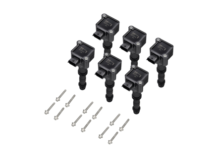 Ignition Coil Packs (PACK OF 6). Porsche 996 / Boxster 986 / Boxster 987 / 996 GT3 MKII - 99760210400, 99760210402, 99660210400, 99760210404, 99760210400, 99760210405, 997.602.104.05, 997 602 104 05, 997.602.104.04, 997 602 104 04, 997.602.104.02, 997 602 104 02, 99760210406, 997.602.104.06, 997 602 104 06, 99760210403, 997.602.104.03, 997 602 104 03, 99760210401, 997.602.104.01, 997 602 104 01, 997.602.104.00, 997 602 104 00, 996.602.104.00, 996 602 104 00, 99760210700, 997.602.107.00, 997 602 107 00, 99660210101, 996.602.101.01, 996 602 101 01, 99660210501, 996.602.105.01, 996 602 105 01, 99660210500, 996.602.105.00, 996 602 105 00, 9760210702, 90038502501, 900.385.025.01, 900 385 025 01, 99660210100, 996.602.101.00, 996 602 101 00, 99917022390, 99610532552 - ZS178, ZS178, 0986221119