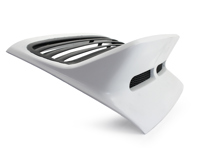 Ducktail posteriore / Nuovo stile Singer DLS (griglia inclusa). Porsche 911