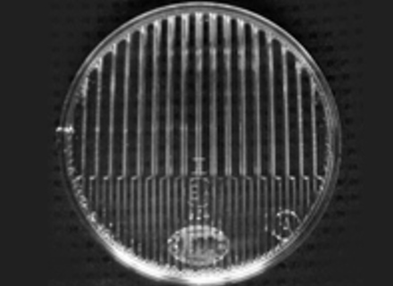 Lens for additional front fog lamp. Porsche 911 65-77 - 90163121100