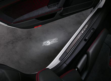 LED 车门投影仪“BORN IN FLACHT”徽标。保时捷 992 GT3 RS / 保时捷 992 升级版 - 9Y0044914