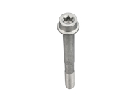 Tornillo de montaje de la pinza de freno, DELANTERO. Porsche 970 Panamera / 958 Cayenne / 9YA Cayenne / 95B Macan - 99907346101, WHT004572, PAF004572 - 104277