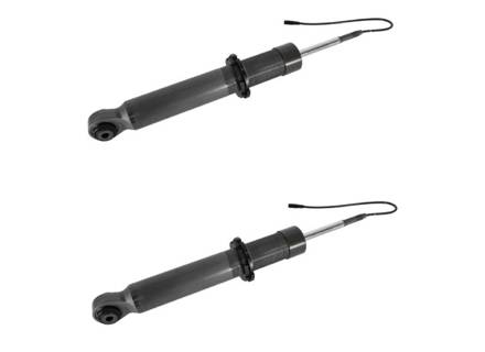 Kit ammortizzatori posteriori con PASM. Porsche 991.2 GT2 RS / GT3 2018-19 - 99133305172