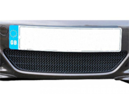 Front Bumper Stainless Steel Centre Grill ZunSport. Porsche Cayman 987.2 Man / PDK - ZPR21609, ZPR21609B, ZPR21609, ZPR21609B