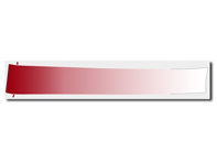 Pellicola decorativa anteriore in rosso indiano per Porsche 996 GT3 - 99655933192, 99655933190, 99655933292, 99655933290 Pellicola decorativa anteriore in rosso indiano per Porsche 996 GT3 - 99655933192, 99655933190, 99655933292, 99655933290