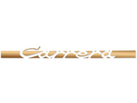 Decalcomania laterale 'CARRERA', in Matt Gold. Porsche 911 Carrera 2.7 - 91155903400, 91155903401, 91155903402, 91155903403, 91155903404 Decalcomania laterale 'CARRERA', in Matt Gold. Porsche 911 Carrera 2.7 - 91155903400, 91155903401, 91155903402, 91155903403, 91155903404