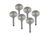 Engine cylinder head exhaust valve kit. Porsche 911 1970 - 77 - 91110541500, 91110541550