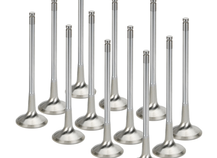 Engine cylinder head inlet valve set. Porsche 957 Cayenne 3.6ltr - 95510560100, 95510560110 - I01015015