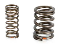 Valve spring set. Porsche 924 - 046109623, 048109623, PCG109623 Valve spring set. Porsche 924 - 046109623, 048109623, PCG109623