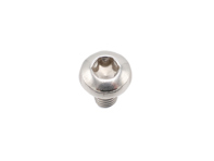 Fillister Head Screw, M6 x 10. Porsche 997 Turbo / 991 Turbo / 992.1 Turbo - PAF008313, 9990732360A