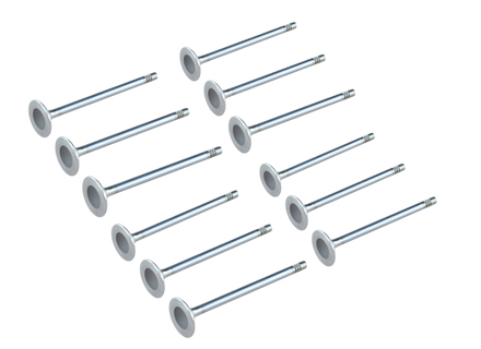 Engine cylinder head inlet valve kit. Porsche 987 / 981 / 997.2 / 991.1 - 9A110531202