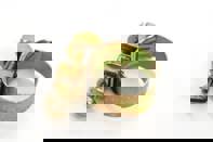 Collier de serrage pour tuyau de carburant et d'air. Porsche911/964/993/914/924/944/968/928. - PCG0235692, N  0235692, N0235692