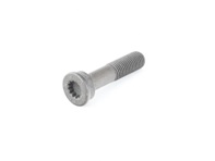 Torx head bolt for camshaft sprocket. Porsche 996 turbo / 996 GT3 - 99610531390 Torx head bolt for camshaft sprocket. Porsche 996 turbo / 996 GT3 - 99610531390