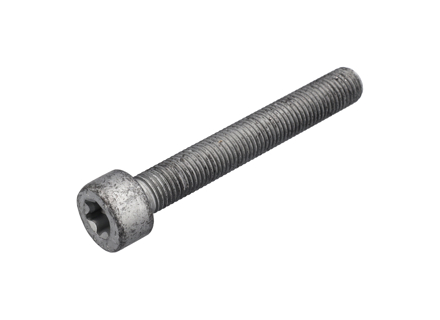 Brake Caliper Mounting Bolts. Porsche 997 / Panamera / 991 / 981 Boxster / 981C Cayman - 99906705309, 9A700758500