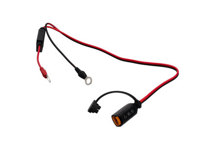 CTEK 电池调节器 CTX 指示器，带 M8 孔眼 - 40-133