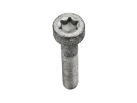 Flywheel Bolt. Porsche 986 / 987 / 987C / 996 / 997 - 99907309202 - 99907309209, 99907309201, 99907309202 Flywheel Bolt. Porsche 986 / 987 / 987C / 996 / 997 - 99907309202 - 99907309209, 99907309201, 99907309202