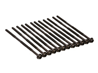Cylinder head bolt long, Set of 12. Porsche Boxster / Cayman / 996 / 997 - 99610418056, 99610418057, 99610418058, 99610418059, 523.050 Cylinder head bolt long, Set of 12. Porsche Boxster / Cayman / 996 / 997 - 99610418056, 99610418057, 99610418058, 99610418059, 523.050