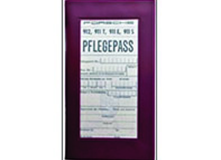 Care pass Service Booklet (GERMAN). Porsche 911T / 911E / 911S (up to 1969) /912 - WKD43151000