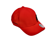 Brembo Expert Cap