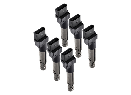 点火线圈组。保时捷 Cayenne 955 V6 / Cayenne 957 V6 - 95560210105, 0040102044, 40102041, 95560210100, 95560210101, 95560210102, 95560210103, 95560210104, 95560210105, 95860210100 - ZSE044, ZSE044