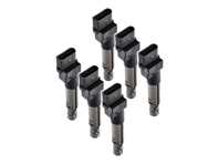 Paquete de bobina de encendido. Porsche Cayena 955 V6 / Cayena 957 V6 - 95560210105, 0040102044, 40102041, 95560210100, 95560210101, 95560210102, 95560210103, 95560210104, 95560210105, 95860210100 - ZSE044, ZSE044